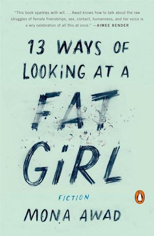 13 Ways of Looking at a Fat Girl