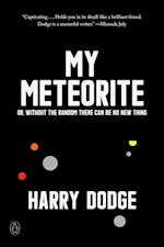 My Meteorite