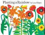 Planting a Rainbow