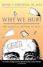 Why We Hurt