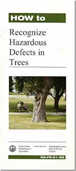 How to Recognize Hazardous Defects in Trees