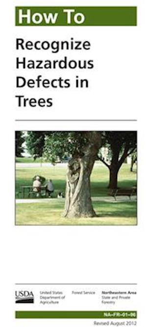 How to Recognize Hazardous Defects in Trees