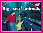 Big sea animals