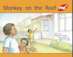 Monkey on the Roof