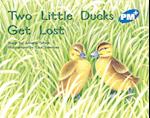 Two Little Ducks Get Lost