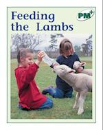 Feeding the Lambs