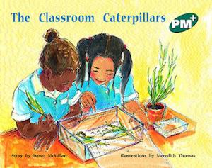 The Classroom Caterpillars