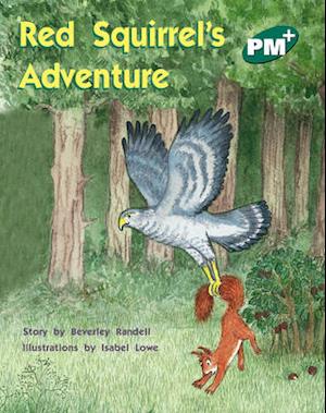 Red Squirrel's Adventure