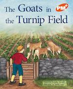 The Goats in the Turnip Field