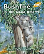 Bushfire in the Koala Reserve
