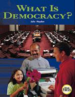 What is Democracy?