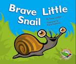 Brave Little Snail