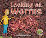 Looking at Worms