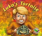 Luka's Tortoise