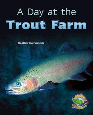 A Day at the Trout Farm