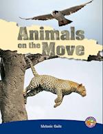 Animals on the Move