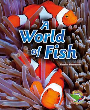 A World of Fish