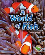 A World of Fish