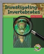 Investigating Invertebrates