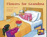 Flowers for Grandma