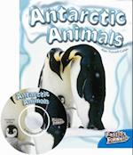 Antarctic Animals