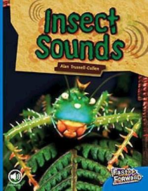 Insect Sounds