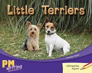 Little Terriers