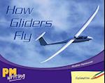 How Gliders Fly