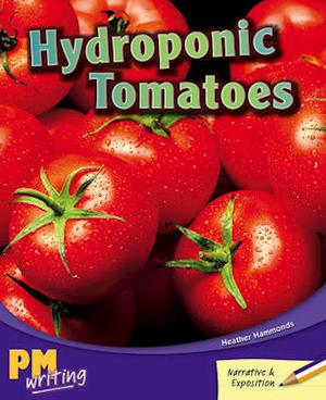 Hydroponic Tomatoes