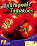 Hydroponic Tomatoes