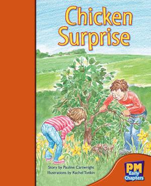 Chicken Surprise