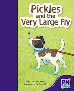 Pickles and the Very Large Fly