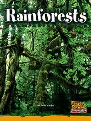 Rainforests