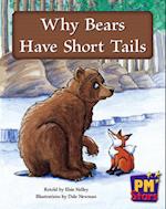 Why Bears Have Short Tails