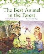 The Best Animal in the Forest