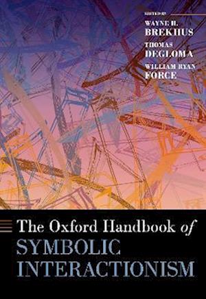 The Oxford Handbook of Symbolic Interactionism