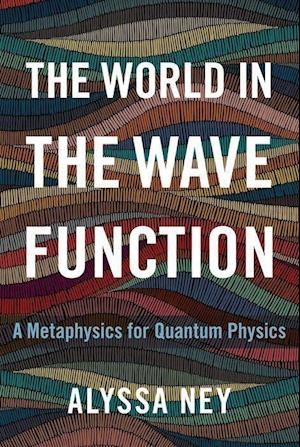 The World in the Wave Function