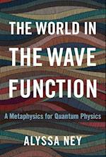 The World in the Wave Function