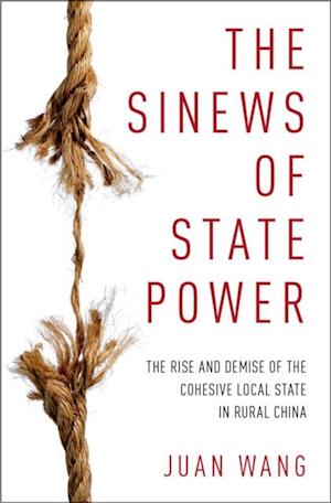 Sinews of State Power