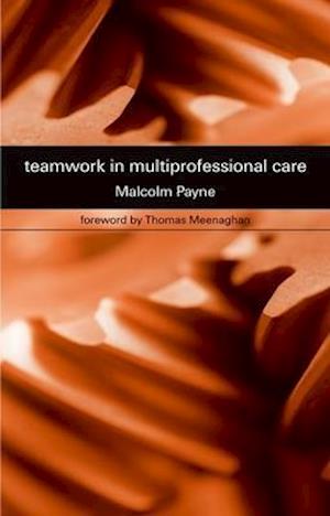 Teamwork in Multiprofessional Care