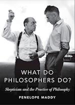 What do Philosophers Do?