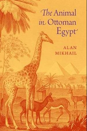 The Animal in Ottoman Egypt