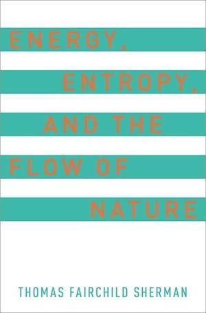 Energy, Entropy, and the Flow of Nature