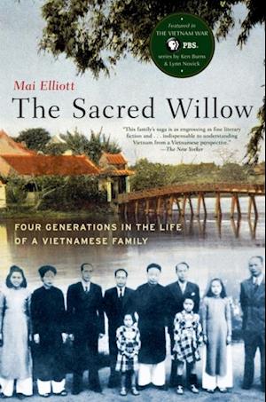 Sacred Willow