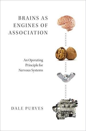 Brains as Engines of Association