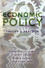 Economic Policy: Theory and Practice