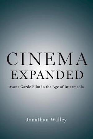 Cinema Expanded