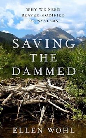 Saving the Dammed