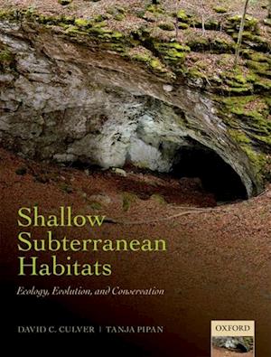 Shallow Subterranean Habitats