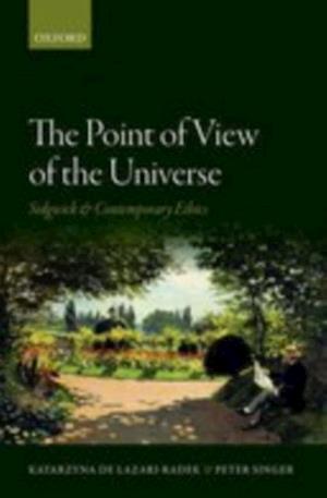 Point of View of the Universe